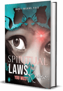 3d spiritual laws cover cr 1