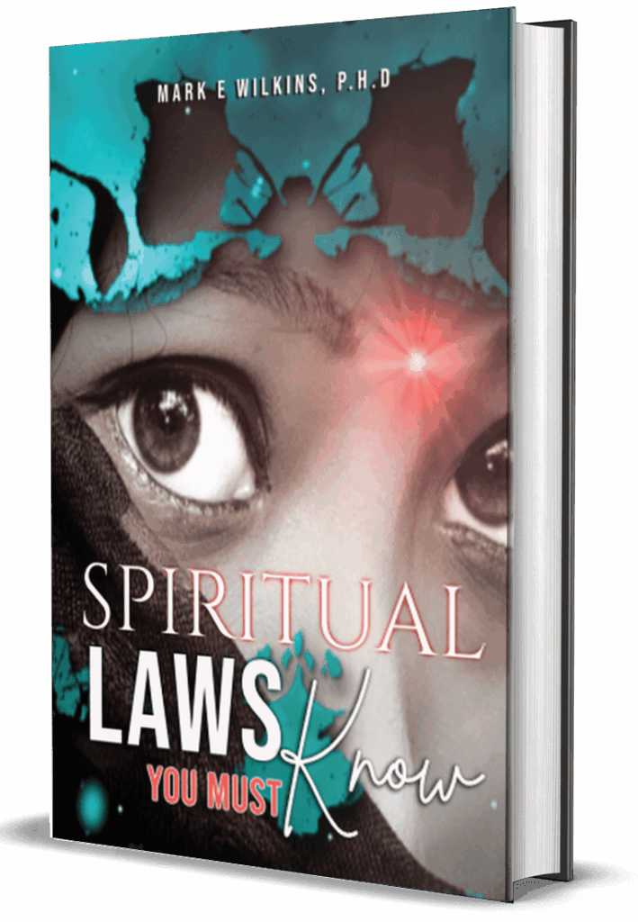 3d spiritual laws cover cr 1